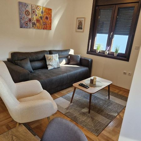 شقة Mb Lux Vrnjačka Banja المظهر الخارجي الصورة