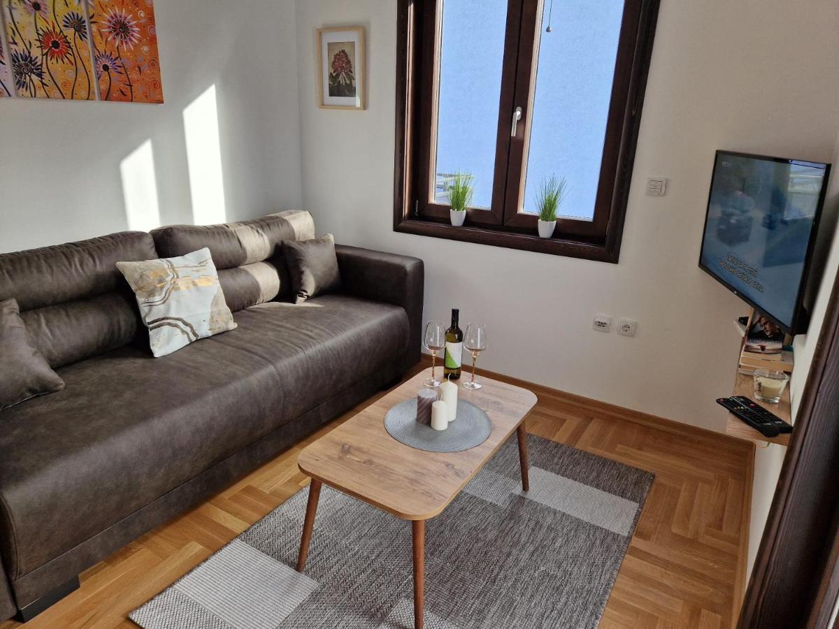 شقة Mb Lux Vrnjačka Banja المظهر الخارجي الصورة